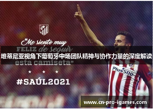 维蒂尼亚视角下葡萄牙中场团队精神与协作力量的深度解读 维蒂尼亚视角下葡萄牙中场团队精神与协作力量的深度解读