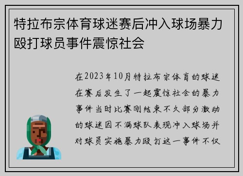 特拉布宗体育球迷赛后冲入球场暴力殴打球员事件震惊社会